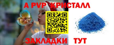 амф Гусев