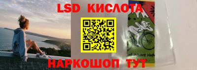 амф Гусев