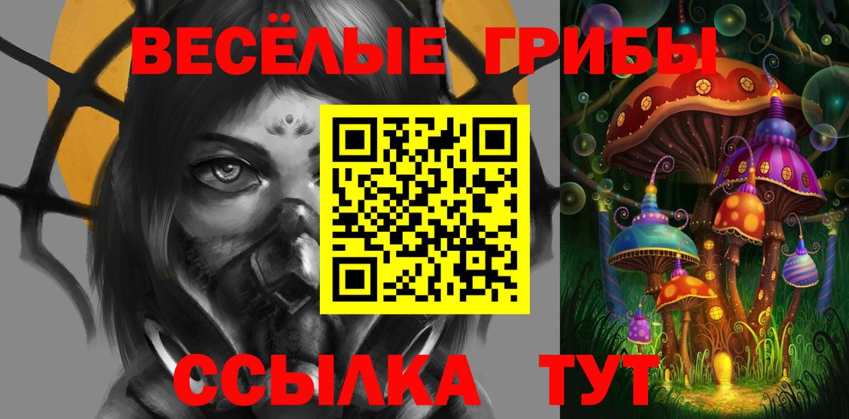 Мытищи  Галлюциногенные грибы Cubensis  Вход с VPN 